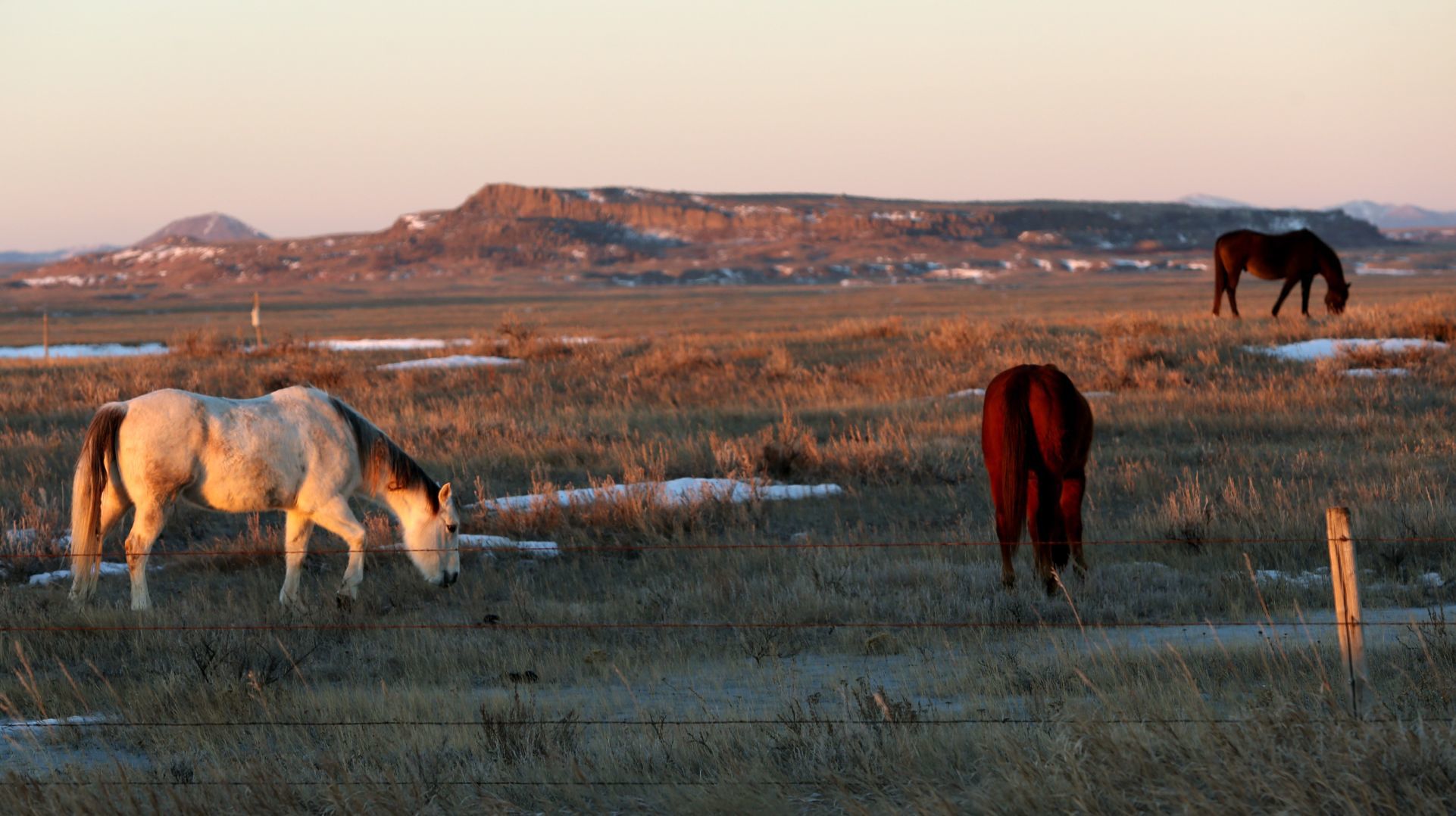 Fort Belknap Reservation